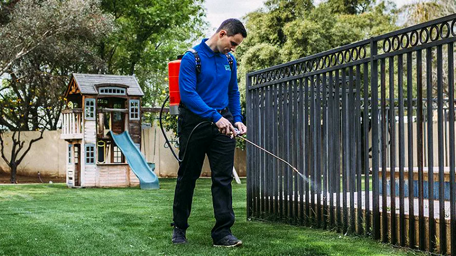 Green Magic Pest Control, Chandler