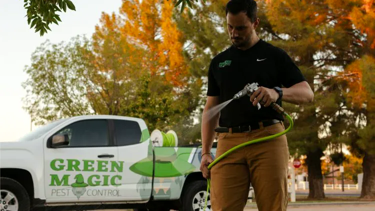 Green Magic Pest Control, Chandler